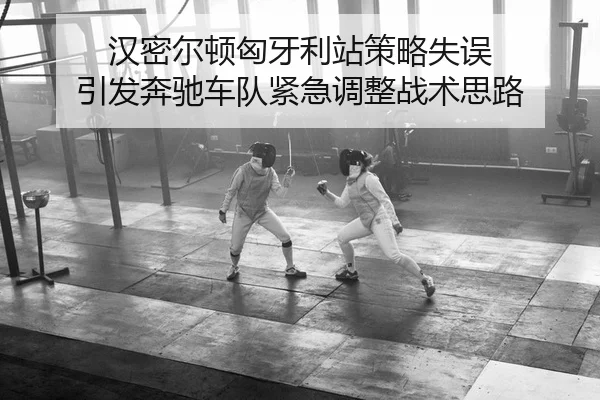 han-mi-er-dun-xiong-ya-li-zhan-ce-lve-shi-wu-yin-fa-ben-chi-che-dui-jin-ji-tiao-zheng-zhan-shu-si-lu-2-156.jpg